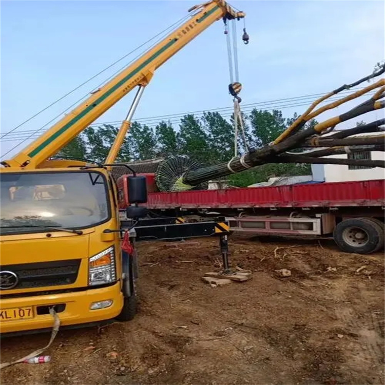 洪山100吨吊车租赁费用怎么算？3大关键因素+省钱技巧全解析